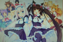 猫娘动漫,萌动时光，探寻虚拟与现实的奇幻之旅